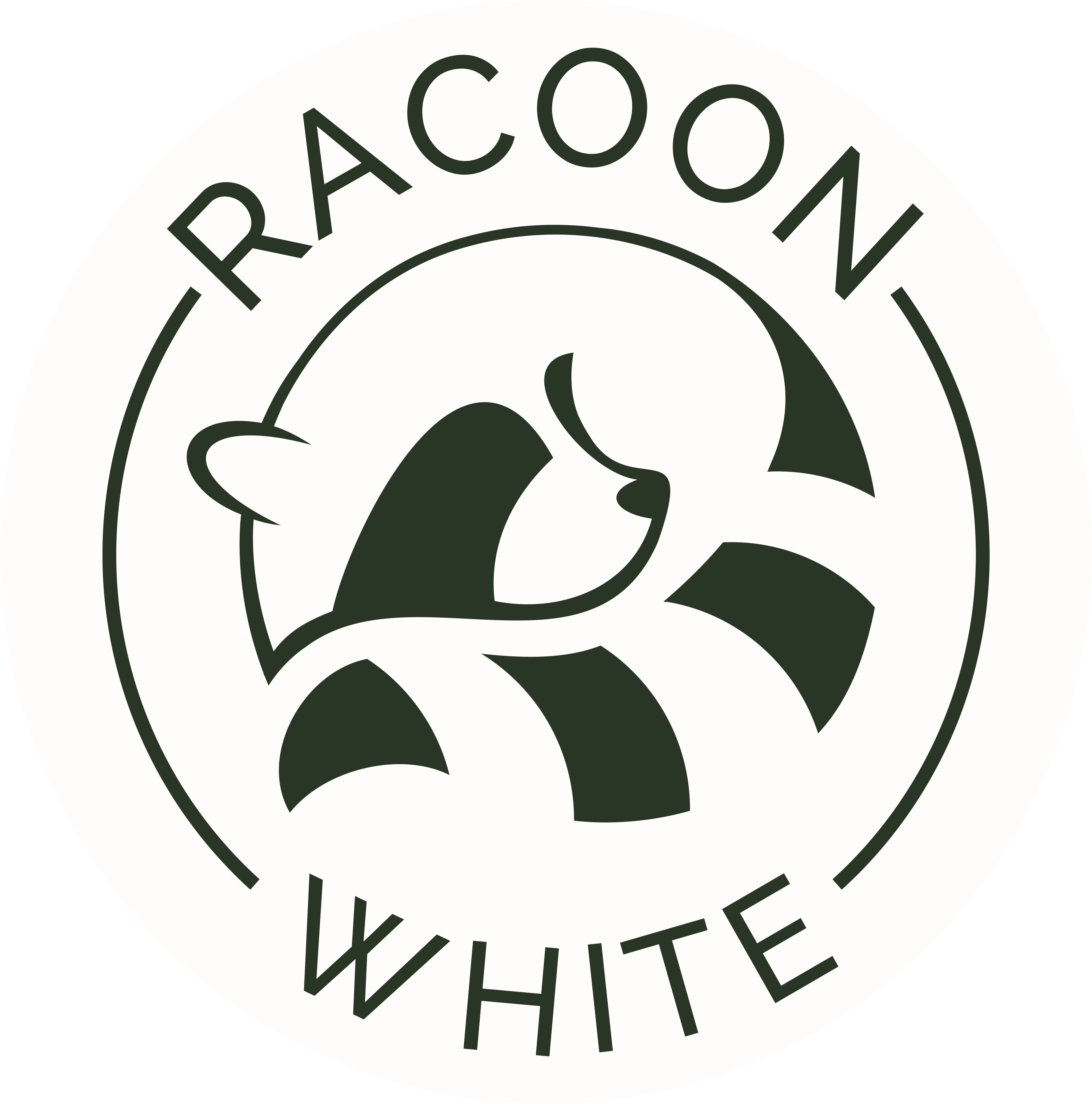 Racoon White Racoon White